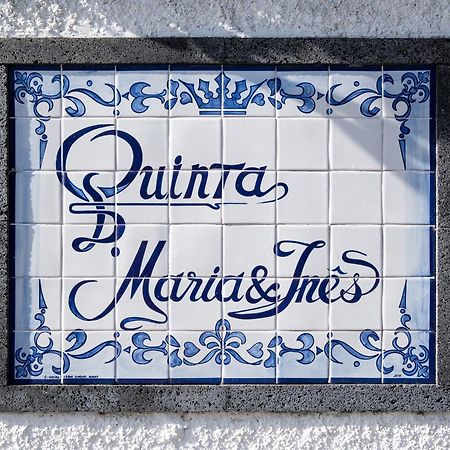 빌라플렝카드켐포 Quinta D. Maria & Ines 빌라 외부 사진